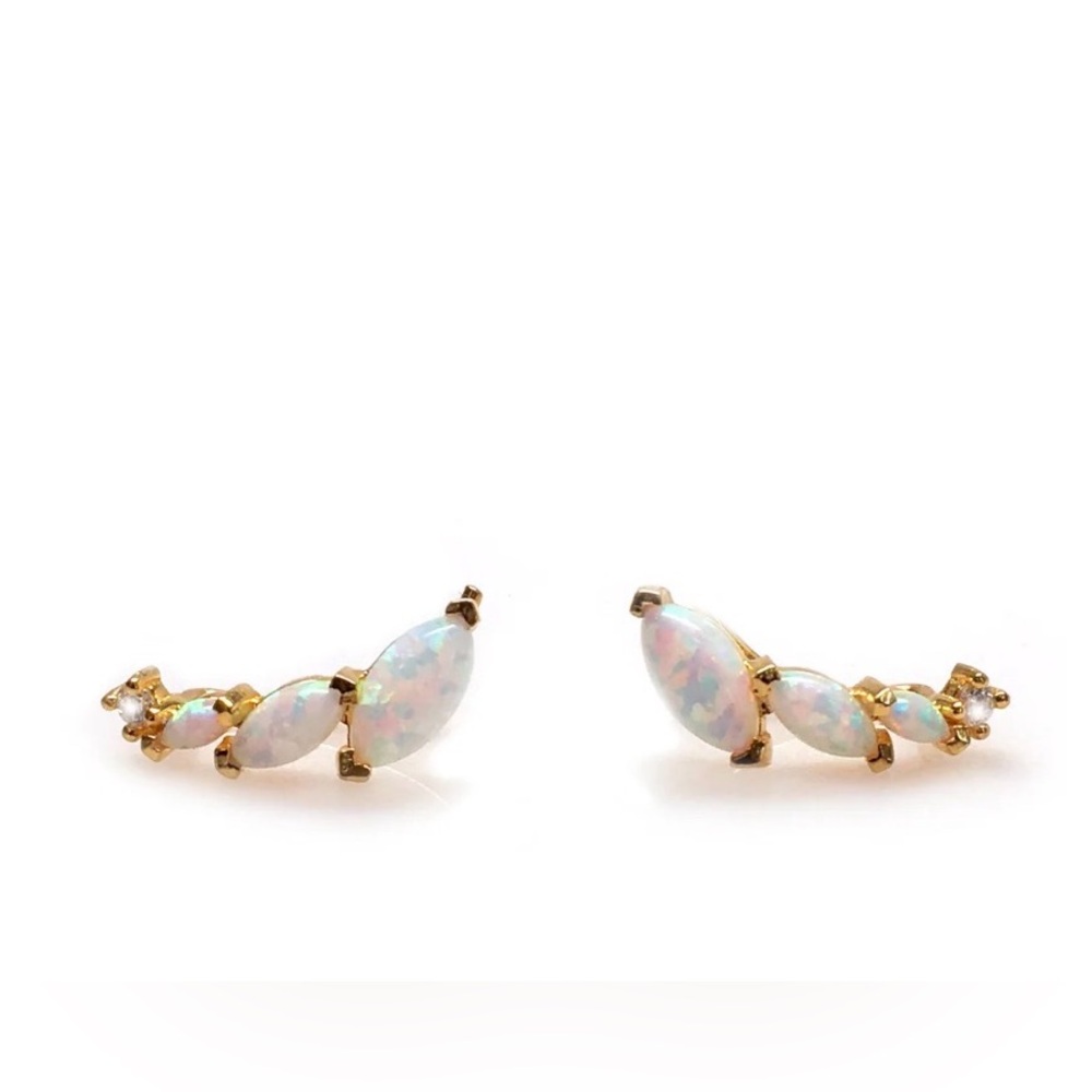 Elegant Opal and Gold Wing Ear Climbers